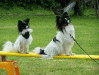 a_luke_und_layla