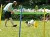 image25agility