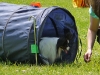 image27agility