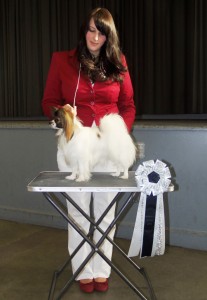 Serenely's Amare La Vita