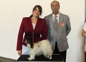 Amy CACIB Saarbrücken 2014