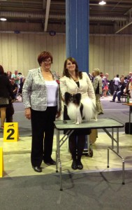 Serenely's Amore Per Sempre