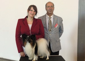 Billy CACIB Saarbrücken 2014