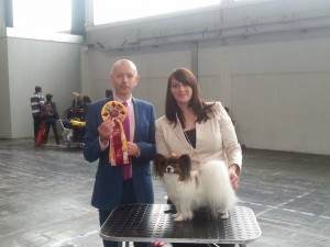 Nat Saarbrücken 2015