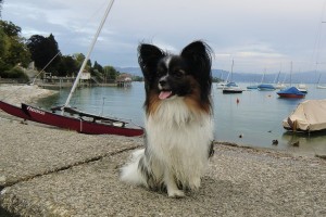 Serenely's Amore per Sempre