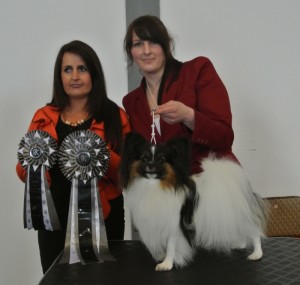 CACIB Saarbrücken 2013