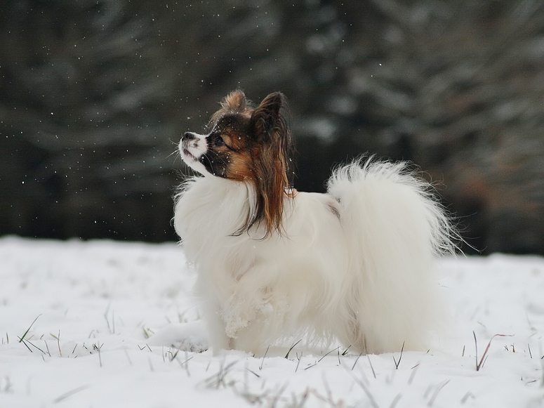 amy8neu_passig_gemacht_filtered_photoscape